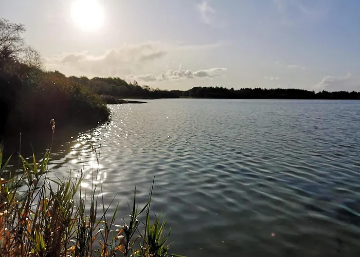 6 Person In Ansager-by Traum Vakantiehuis