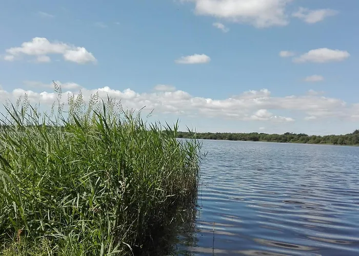 Vakantiehuis 6 Person In Ansager-by Traum