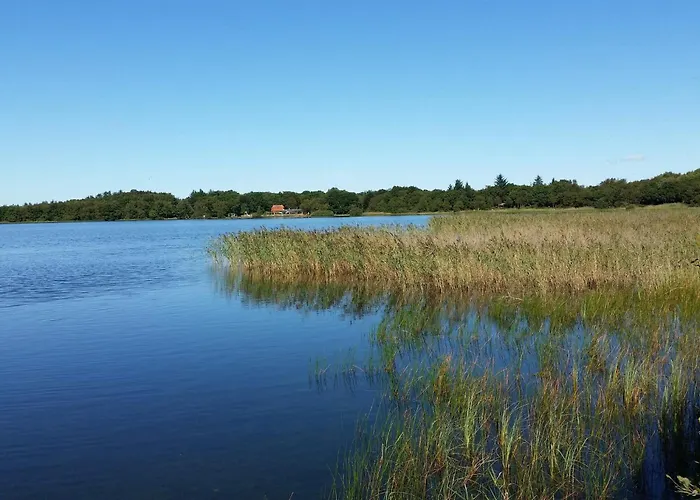 Vakantiehuis 6 Person In Ansager-by Traum *