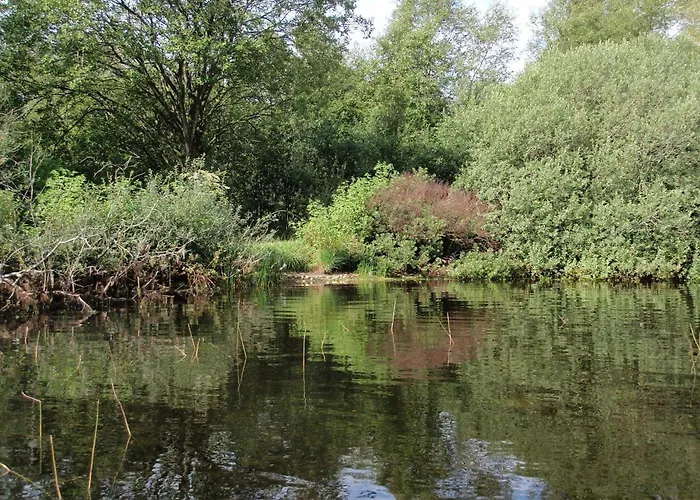 6 Person In Ansager-by Traum Vakantiehuis Ansager